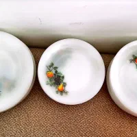 گل میوه ای قدیمی. ارکوپال