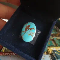 رگه طلایی