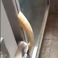 دستگاه جوجه کشی