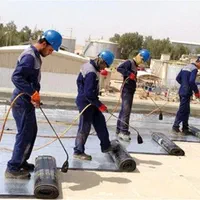 خدمات ایزوگام، قیرگونی و آسفالت