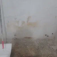 نقاشی ساختمان|خدمات پیشه و مهارت|نوده خاندوز, |دیوار