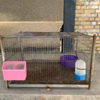 قفس جفتگاه کبوتر یا کفتر