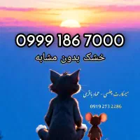 0999 بدون مشابه
