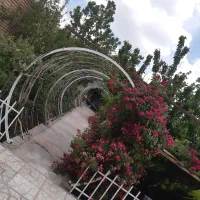 اجاره خانه باغ و سوئیت با امکانات رفاهی درلاله زار