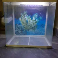 آکواریوم مدل AQ385|لوازم جانبی حیوانات|تهران, افسریه شمالی|دیوار