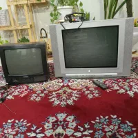 تلویزیون