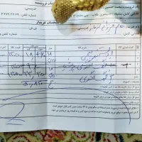 ۱۹گرم طلای نو ب قیمت تابلو