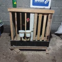 لانه حیوانات