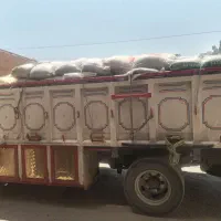 خوراک دام یونجه پلت