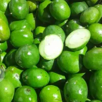 انبه بدون هسته فقط عمده ۹۰