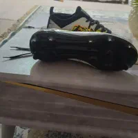 کفش استوک دار نو نو نو|کیف، کفش، کمربند|ایذه, |دیوار