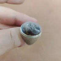 شجر قاعن دست ساز|جواهرات|قم, زنبیل آباد|دیوار