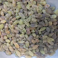 کلوچه و کشمش|خوردنی و آشامیدنی|ملایر, |دیوار