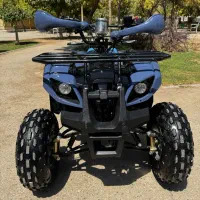چهار چرخ 125cc چهارچرخ دنده عقب دار