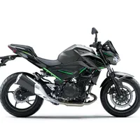 کاواساکی Z250 صفر 2024 ABS