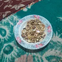 گردو درچه یک