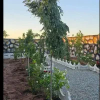 باغچه ۱۸۸ متری سند دار شهرکی.