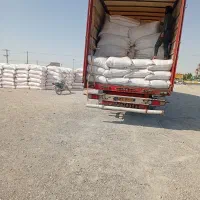 کاه کردستان رسید سفید نرم