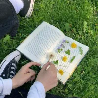 تدریس مقاطع ابتدایی خصوصی