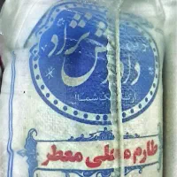 برنج طارم محلی تالاب فریدونکنار
