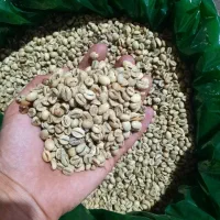 پخش انواع قهوه ، پودریجات و شکلات تلخ