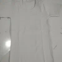 تاب زنانه/لباس زنانه/تولید و پخش پوشاک|لباس|چوبر, |دیوار