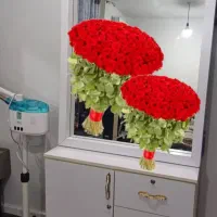 وسایل آرایشگاه|آرایشگاه و سالن‌های زیبایی|مسجد سلیمان, |دیوار