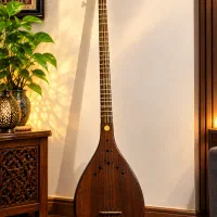 سه تار حرفه ای دومهر