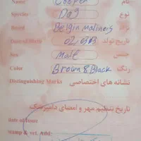 واگذاری سگ|سگ|بیستون, |دیوار
