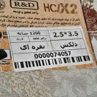 قالی|فرش|زرند, |دیوار