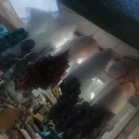 پشه بند|سرویس روتختی|نجف‌آباد, طالقانی|دیوار