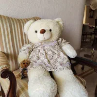 خرس یک متری