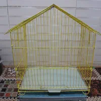 قفس خوشک در زاهدان