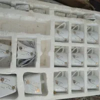 سرویس چینی ۱۲ نفره با میوه خوری ۱۸ نفره