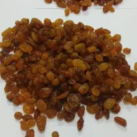 عمده فروشی|عمده‌فروشی|قوچان, |دیوار