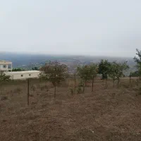 ۲۵۰ متر زمین در چشمکی روستای توریستی گنبک|فروش زمین و ملک کلنگی|توتکابن, |دیوار
