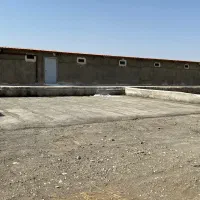 مرغداری ۲۳هزاری|فروش دفتر صنعتی، کشاورزی، تجاری|ششتمد, |دیوار