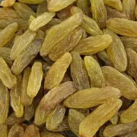 خشکبار