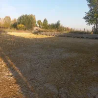 اجاره سالن|اجارهٔ دفتر صنعتی، کشاورزی، تجاری|میانه, |دیوار