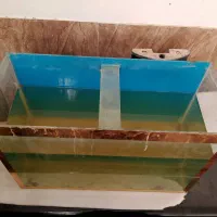 آکواریوم|ماهی|مشهد, همت آباد|دیوار