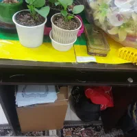 میز لوازم تحریر.