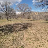 زمین دمچنار متری 60هزارتومان