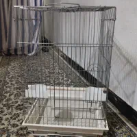 قفس بزرگ پرنده ۹۵۰