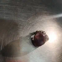 انگشتر قدیمی|جواهرات|کرج, باغستان|دیوار