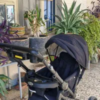 کالسکه دلیجان