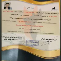 مربی سگ های خانگی ونگهبان|خدمات آموزشی|شیراز, قصرالدشت|دیوار