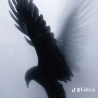 09114093737 + 09114107373
