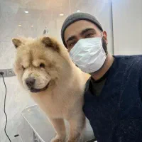 اصلاح و حمام سگ و گربه ۹۵۰