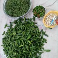 خیارشور بومی شیراز|خوردنی و آشامیدنی|شاهین‌شهر, کوی مهدیه|دیوار