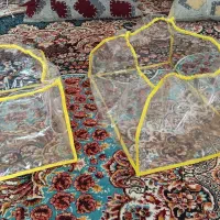 ساخت کاورقفس پرنده شیشه ای|لوازم جانبی حیوانات|ایلام, |دیوار